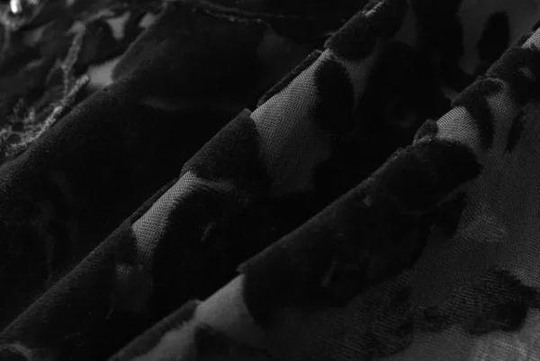 Viktoria Chan Evening Wear | Aw24 | Berta embedded top